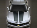 Decal/Stripe Package - Rally Stripes - Grey