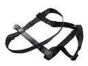Pet Safety Harness and Tether Kit